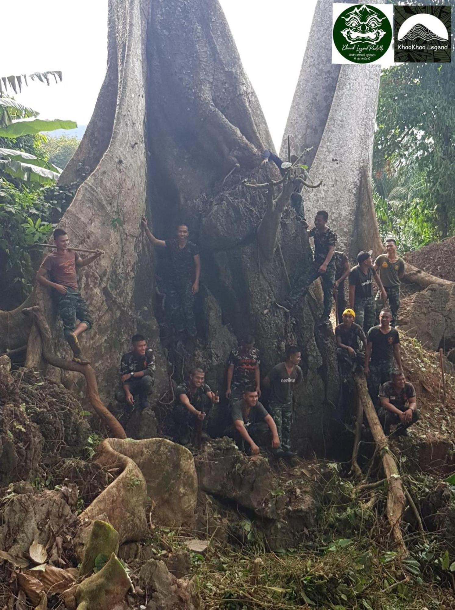 Khao Sok National ParkKhaosok Legend别墅 外观 照片